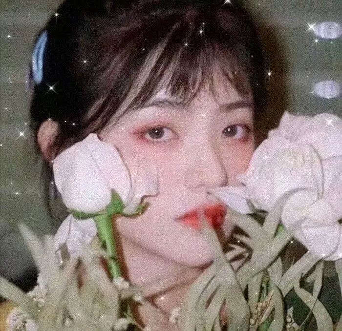 碧丽莎的情人