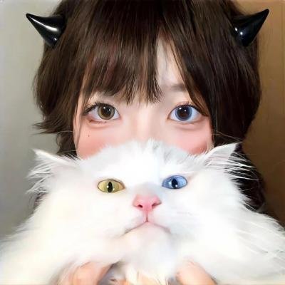 重装制裁